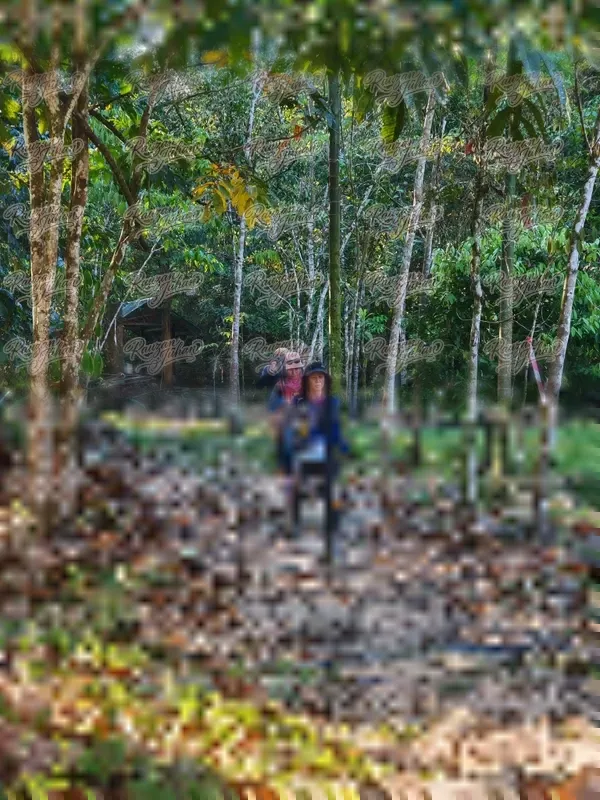 Photo ID 10168