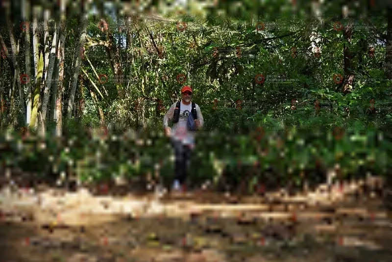 Photo ID 1101360