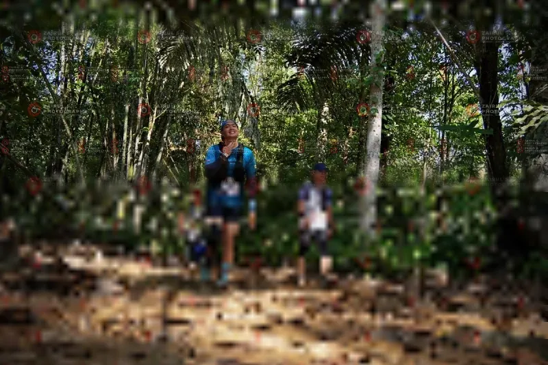 Photo ID 1101415