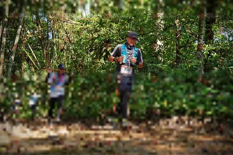Photo ID 1102524