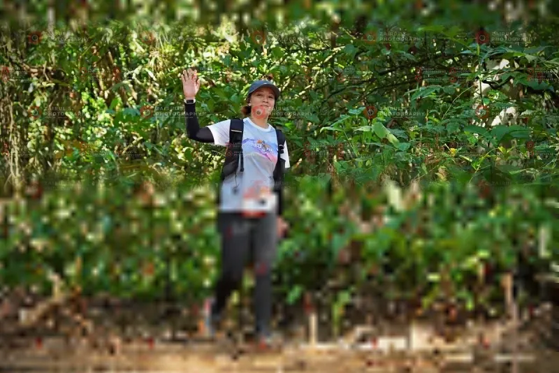 Photo ID 1102738