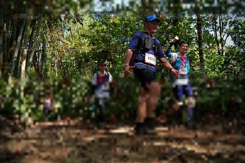 Photo ID 1103063