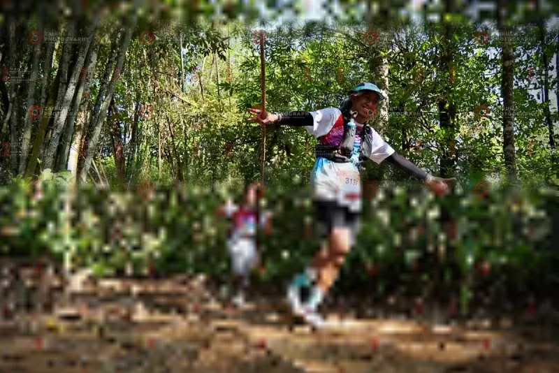 Photo ID 1103095