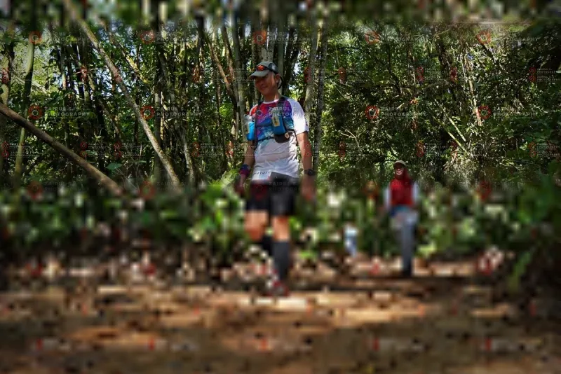 Photo ID 1103123