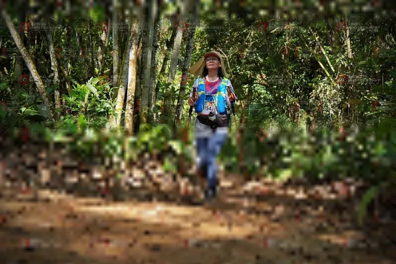 Photo ID 1103129