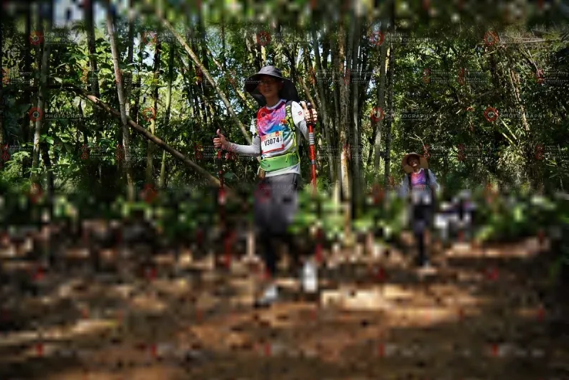 Photo ID 1103136
