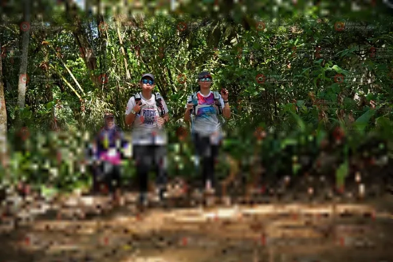 Photo ID 1103514