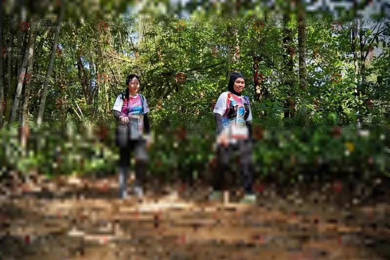 Photo ID 1104064