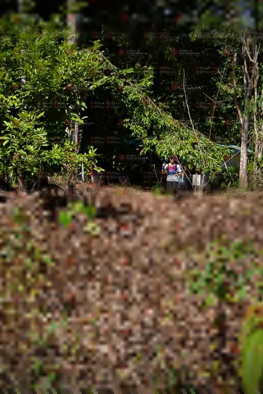 Photo ID 1105038