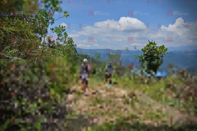 Photo ID 1105593