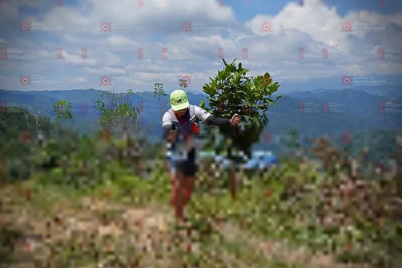 Photo ID 1106037