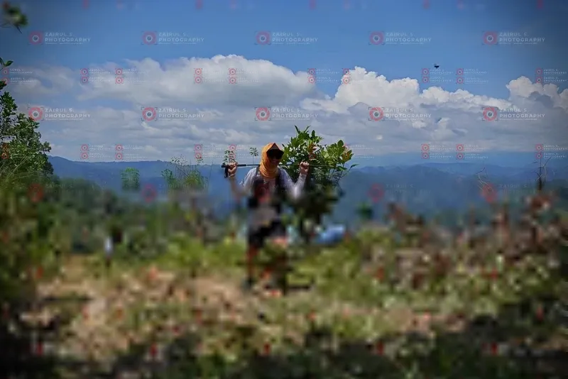 Photo ID 1106088