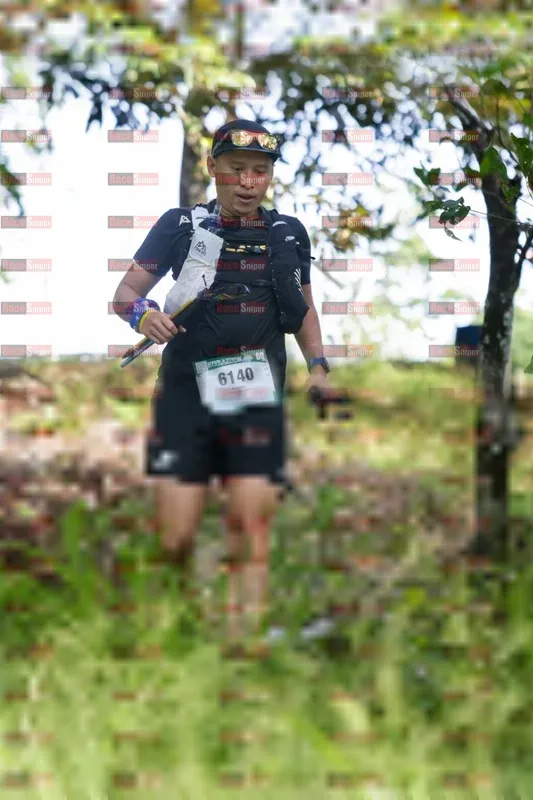 Photo ID 11071