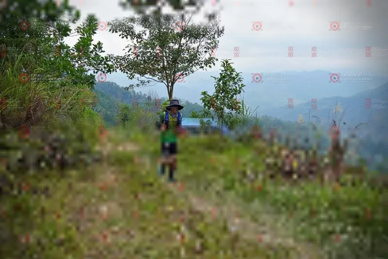 Photo ID 1108552