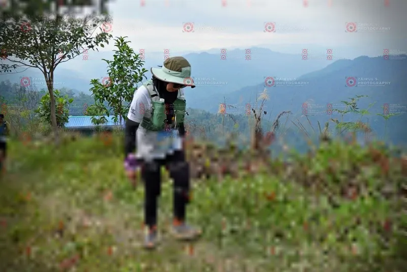 Photo ID 1111299