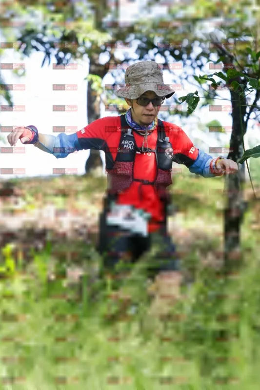 Photo ID 11116