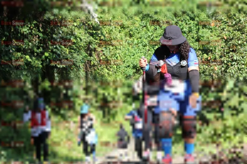 Photo ID 1132005