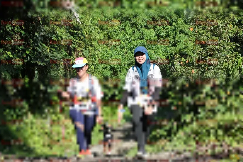Photo ID 1132115