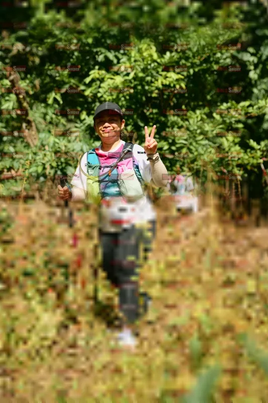 Photo ID 1160975