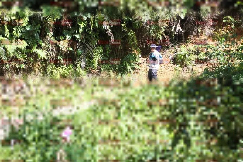 Photo ID 1161089