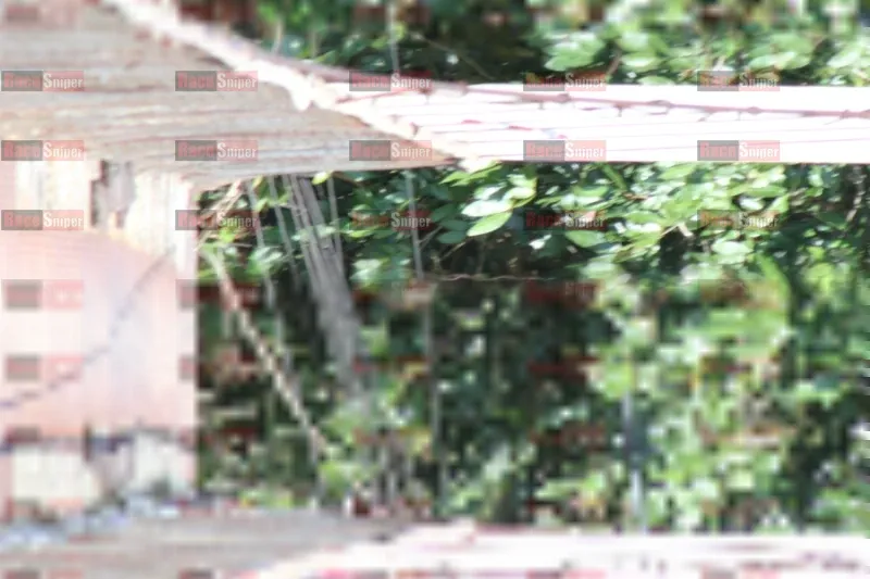 Photo ID 1161143
