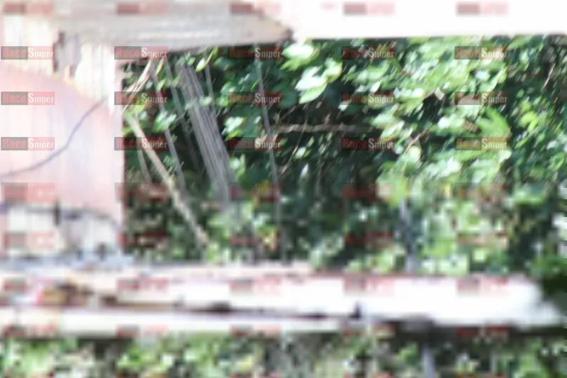 Photo ID 1161148