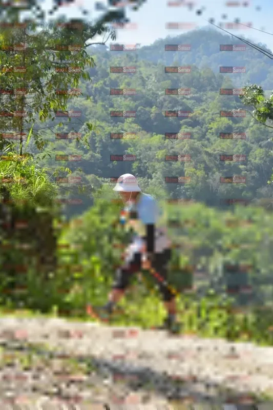 Photo ID 1190041