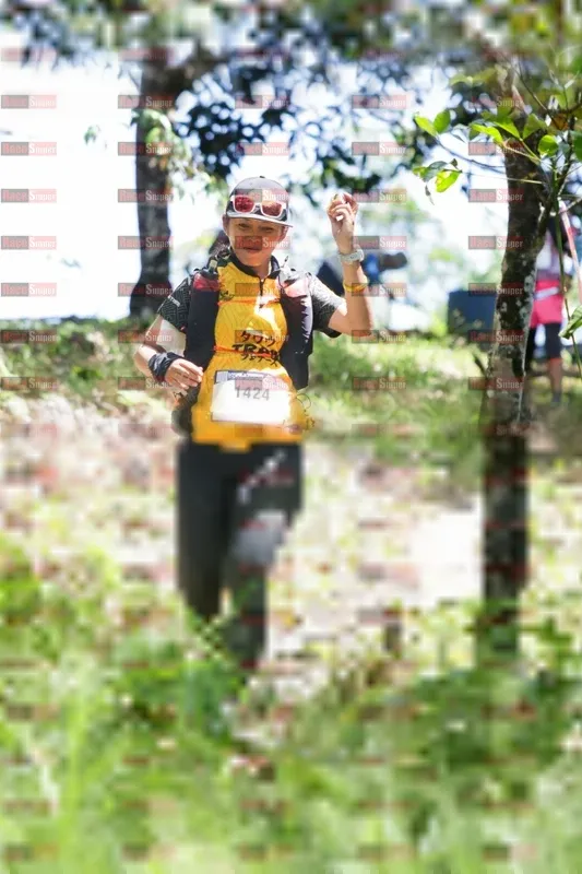 Photo ID 12113