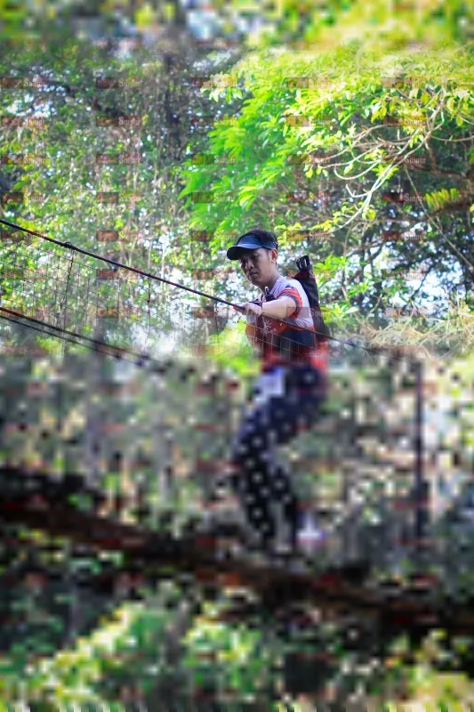 Photo ID 1211955