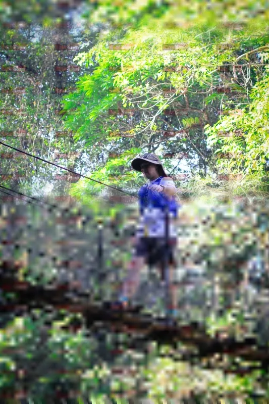 Photo ID 1212005