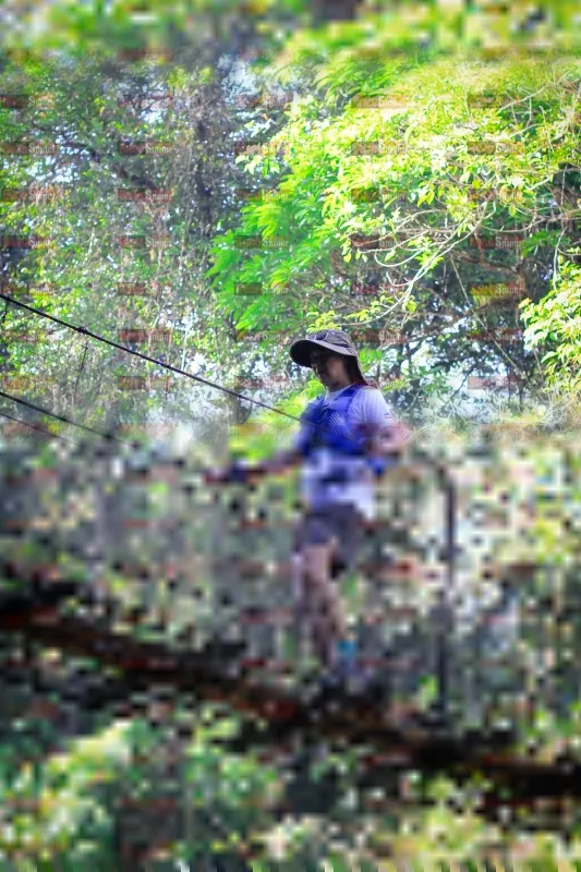 Photo ID 1212006