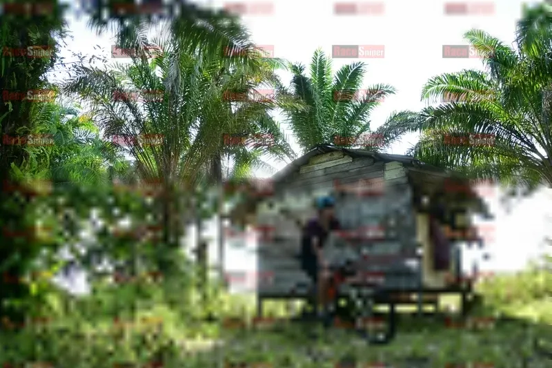 Photo ID 1212239