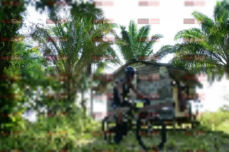Photo ID 1212250