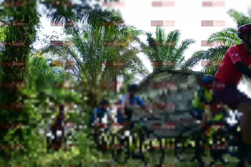 Photo ID 1212554