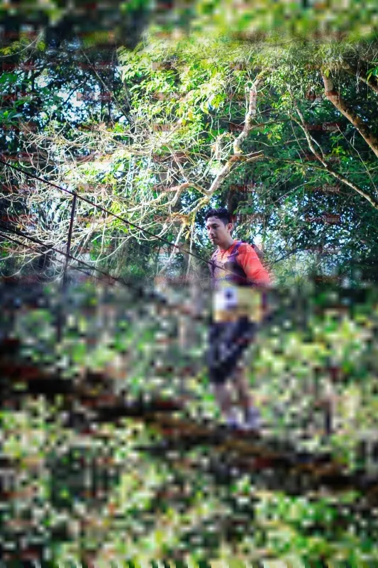 Photo ID 1227130