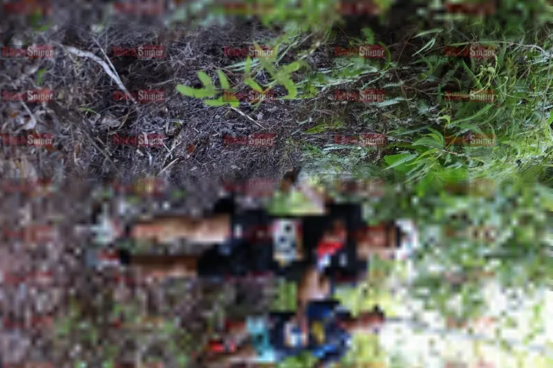 Photo ID 1237131