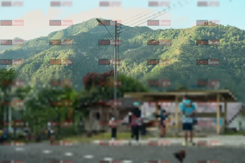 Photo ID 1239004