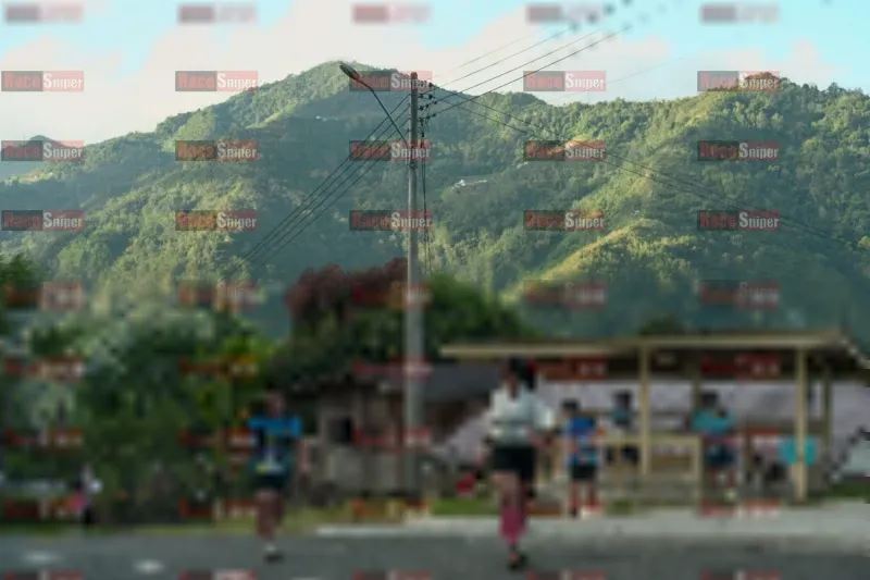 Photo ID 1239050