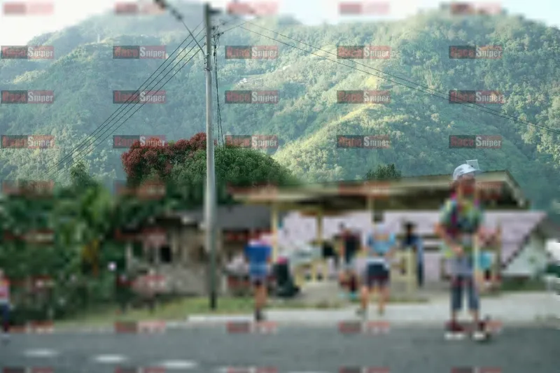 Photo ID 1239113