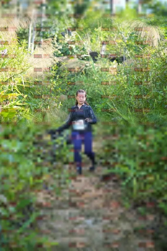 Photo ID 1434034