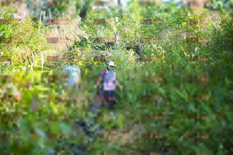 Photo ID 1434055