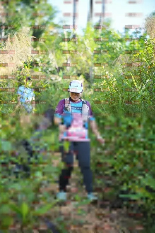 Photo ID 1434077