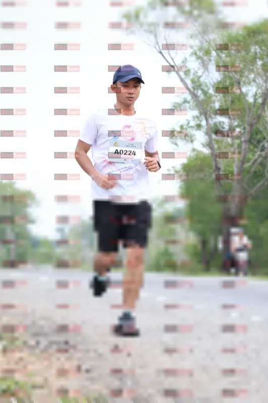 Photo ID 2085129