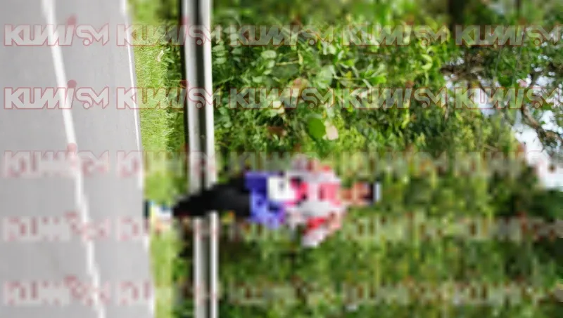Photo ID 2543333