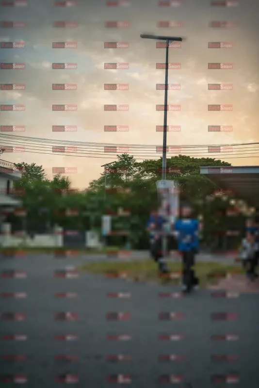 Photo ID 3771530