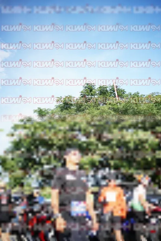 Photo ID 3773563