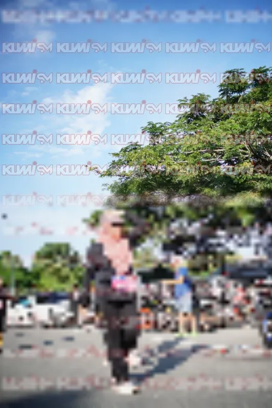 Photo ID 3786675