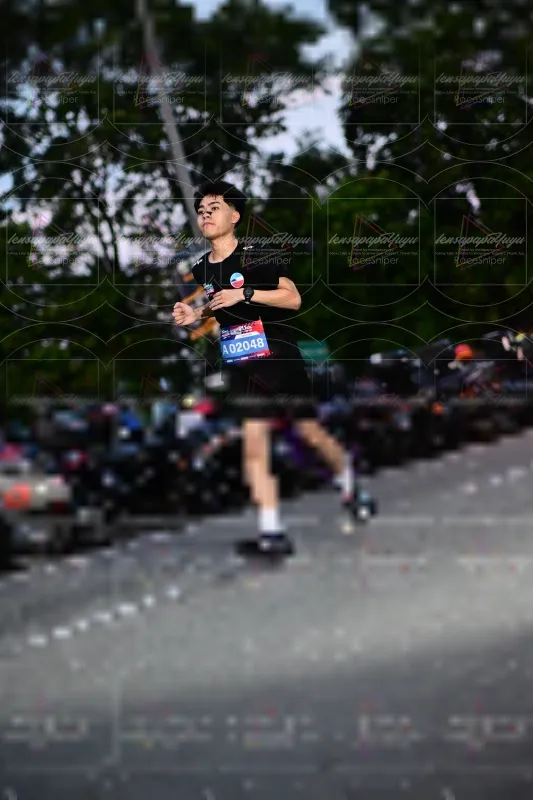 Photo ID 4099651