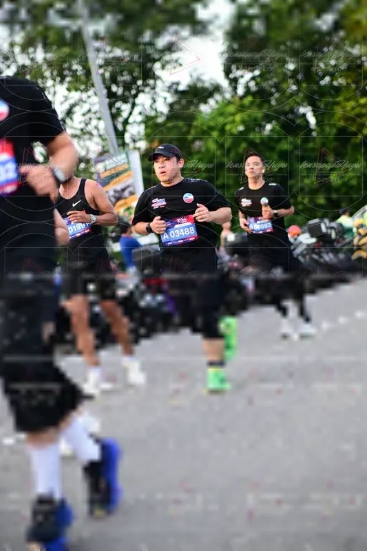 Photo ID 4113391