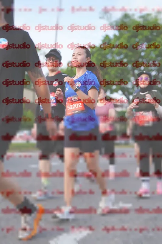 Photo ID 4140532